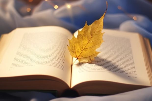 我是初中生，毕业去技校，技校毕业后可以去日本留学吗？是大学还是高