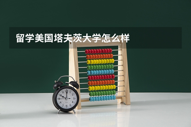 留学美国塔夫茨大学怎么样
