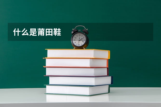 什么是莆田鞋