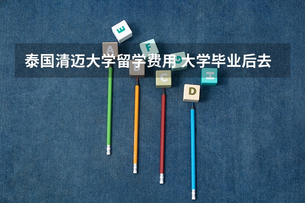 泰国清迈大学留学费用 大学毕业后去泰国留学的条件和要求