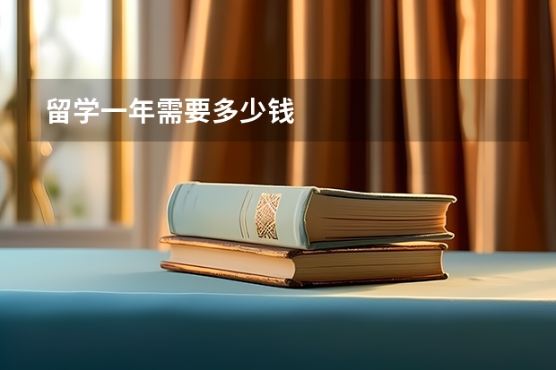 留学一年需要多少钱