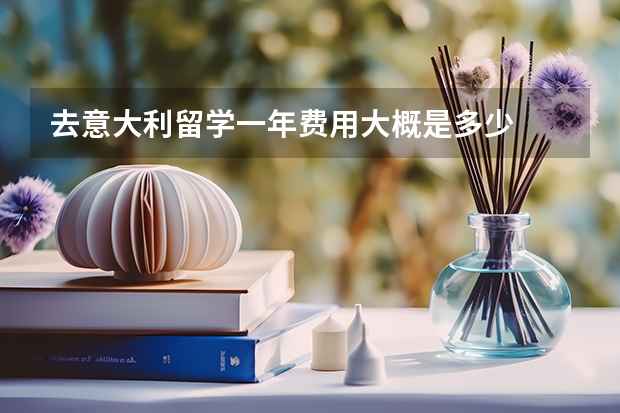 去意大利留学一年费用大概是多少
