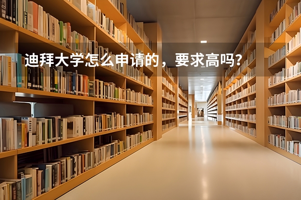 迪拜大学怎么申请的，要求高吗？