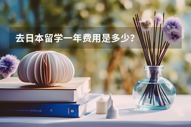 去日本留学一年费用是多少?