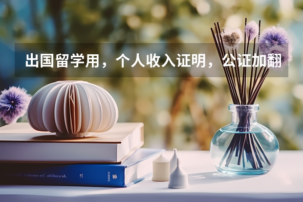 出国留学用，个人收入证明，公证加翻译， 两份要了860。价格合理吗