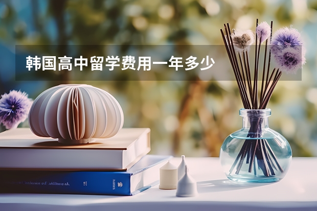 韩国高中留学费用一年多少