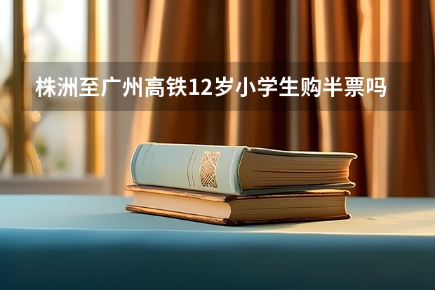 株洲至广州高铁12岁小学生购半票吗?
