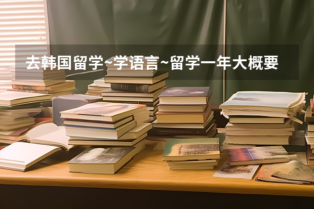 去韩国留学~学语言~留学一年大概要多少钱啊