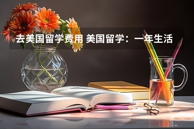 去美国留学费用 美国留学：一年生活成本有多高