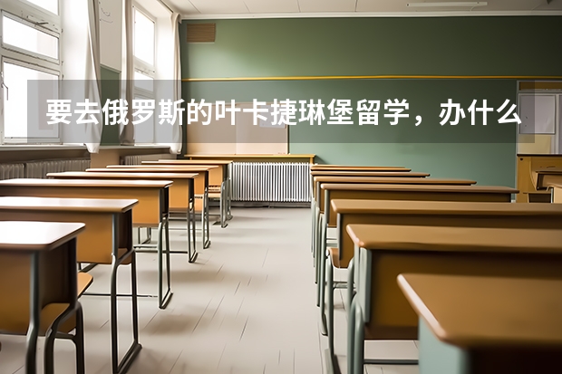 要去俄罗斯的叶卡捷琳堡留学，办什么银行卡好用？还有带有visa卡是什么呀？能在境外取现金吗？