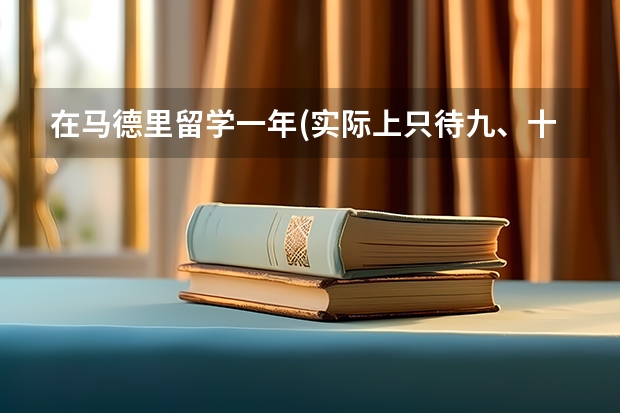 在马德里留学一年(实际上只待九、十个月)生活费大概多少钱？
