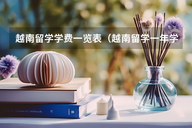 越南留学学费一览表（越南留学一年学费1.1万，班里中国人占一半，这里是否适合大多数人留学？）