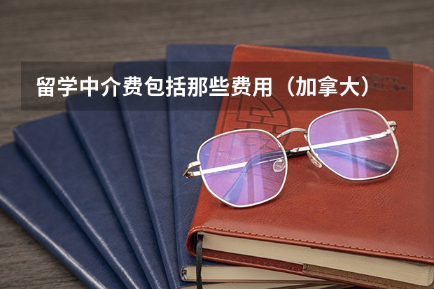 留学中介费包括那些费用（加拿大） 中国 上海 闵行区 漕宝路1555弄 大上海国际花园9区一号 1102室 翻译