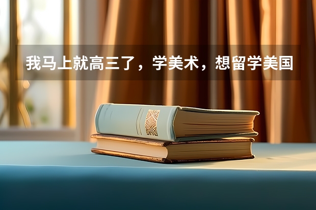 我马上就高三了，学美术，想留学美国继续学艺术，该怎么做准备呀