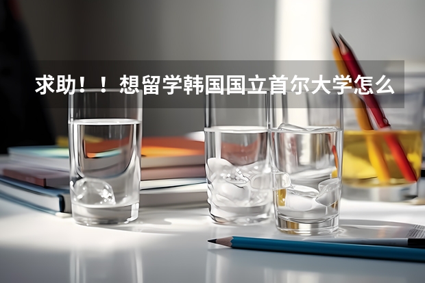 求助！！想留学韩国国立首尔大学怎么申请！