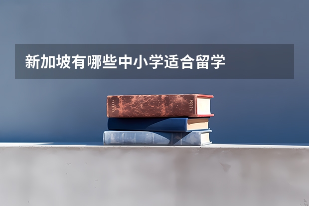 新加坡有哪些中小学适合留学