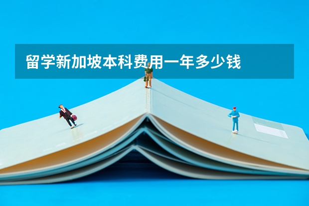 留学新加坡本科费用一年多少钱