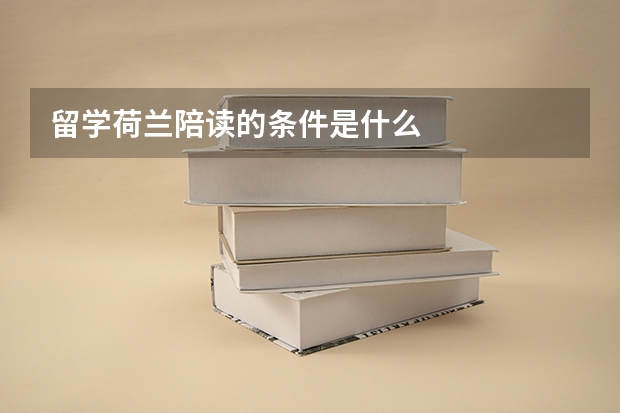 留学荷兰陪读的条件是什么
