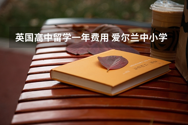 英国高中留学一年费用 爱尔兰中小学留学教学体系介绍