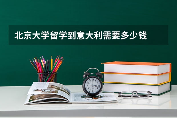 北京大学留学到意大利需要多少钱