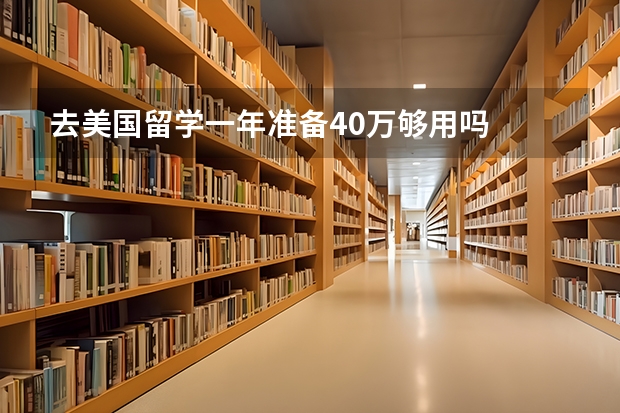 去美国留学一年准备40万够用吗