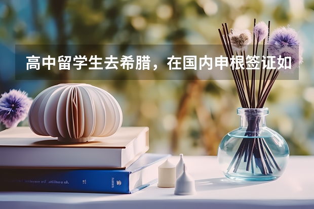 高中留学生去希腊,在国内申根签证如何提高在校证明