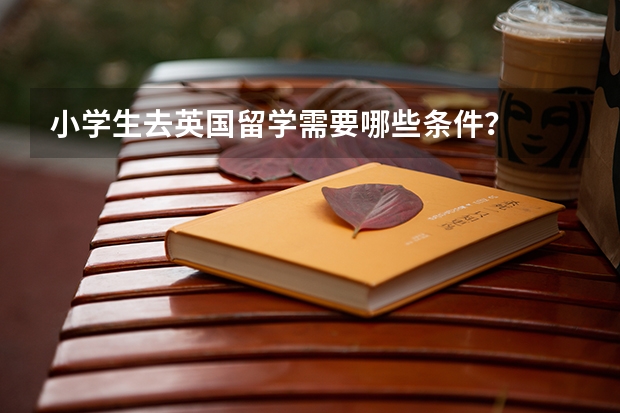 小学生去英国留学需要哪些条件？