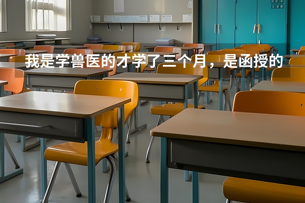 我是学兽医的才学了三个月，是函授的那种，想找份工作边学边实践，你们说应该找份什么工作。饲养员可以吗