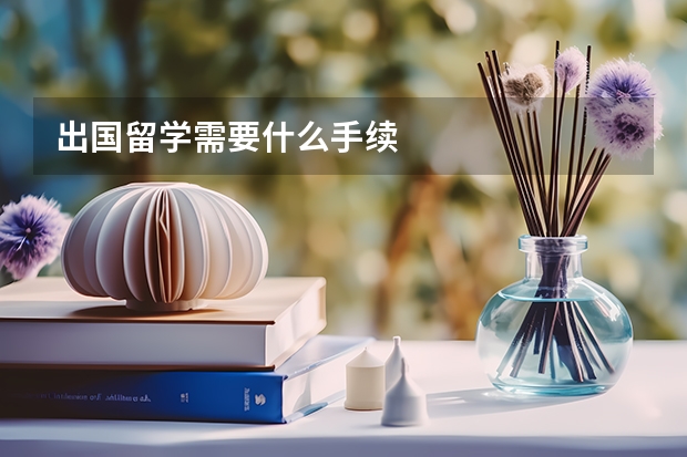 出国留学需要什么手续