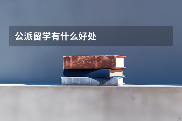 公派留学有什么好处
