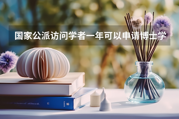 国家公派访问学者一年可以申请博士学位吗