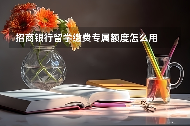 招商银行留学缴费专属额度怎么用