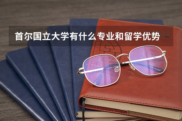 首尔国立大学有什么专业和留学优势