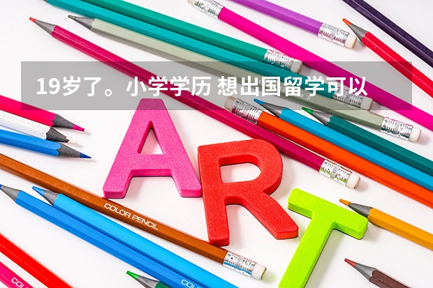19岁了。小学学历 想出国留学可以吗？