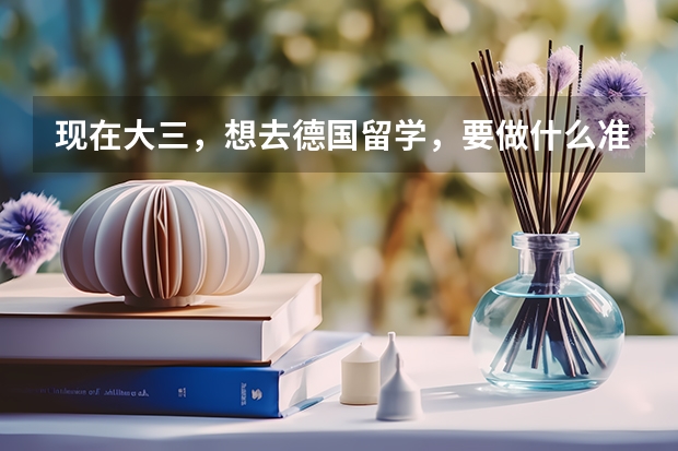 现在大三，想去德国留学，要做什么准备呢，我是学工科的
