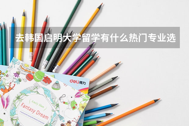 去韩国启明大学留学有什么热门专业选择