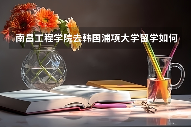 南昌工程学院去韩国浦项大学留学如何
