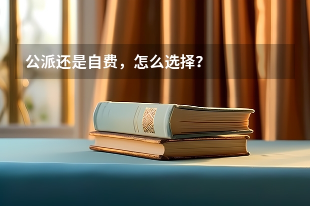 公派还是自费，怎么选择？