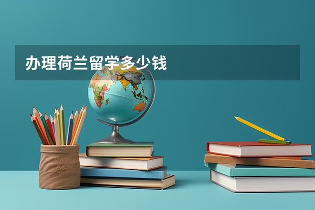办理荷兰留学多少钱
