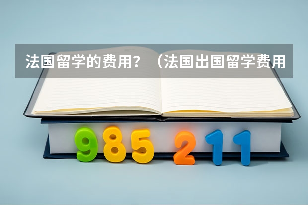 法国留学的费用？（法国出国留学费用）