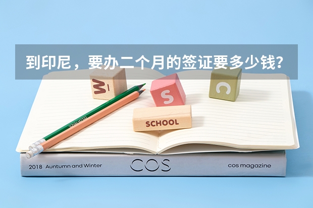 到印尼，要办二个月的签证要多少钱？