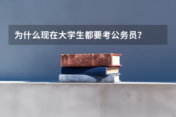 为什么现在大学生都要考公务员？