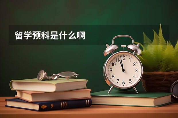 留学预科是什么啊