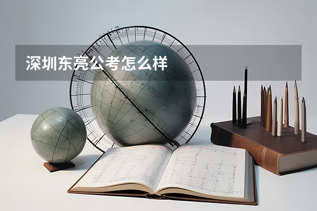 深圳东亮公考怎么样