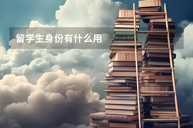 留学生身份有什么用