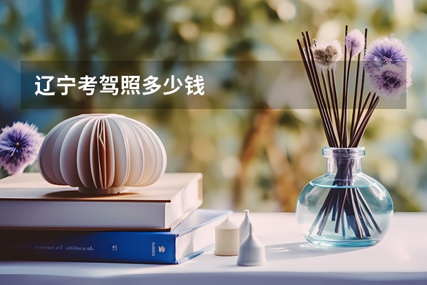 辽宁考驾照多少钱