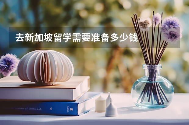 去新加坡留学需要准备多少钱