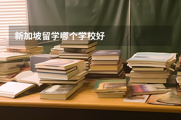 新加坡留学哪个学校好