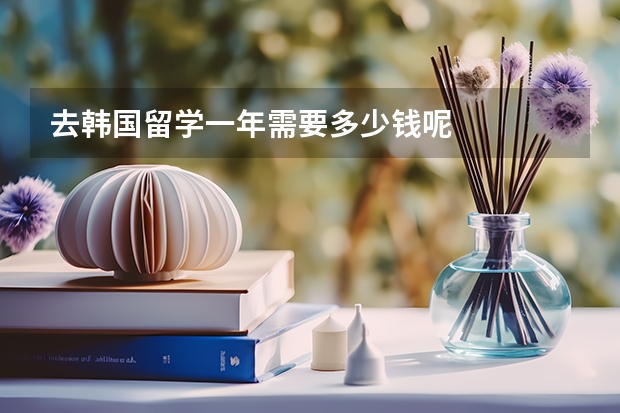 去韩国留学一年需要多少钱呢
