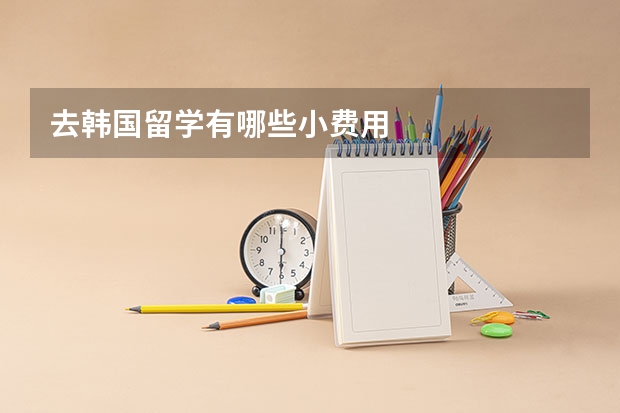 去韩国留学有哪些小费用